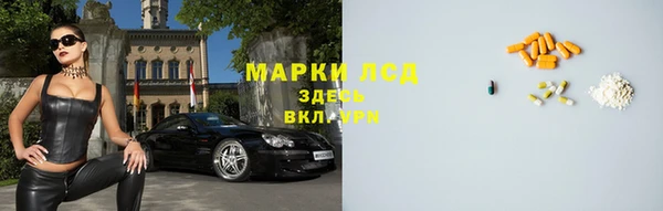 ешки Пересвет