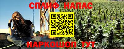 не бодяженный Кингисепп