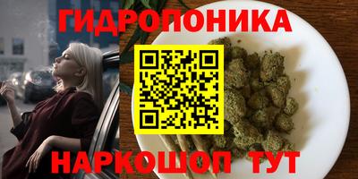 СК Краснознаменск