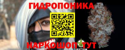 не бодяженный Кингисепп