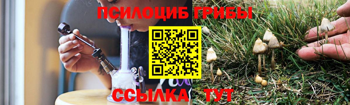 Псилоцибиновые грибы Psilocybe  Вход с VPN  Нижневартовск 